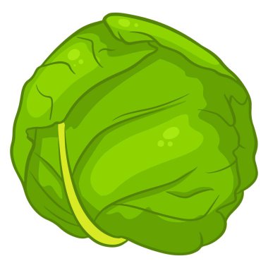 Taze lahana. Büyük bir lahana salıncağı. Mutfak malzemesi. Çizgi film tarzı. Tasarım ve dekorasyon için vektör illüstrasyonu.