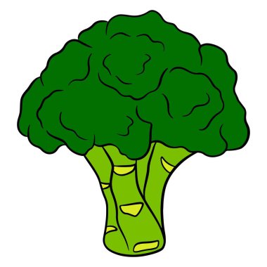 Taze brokoli. Yeşil brocooli 'nin parlak bir çizimi. Mutfak malzemesi. Çizgi film tarzı. Tasarım ve dekorasyon için vektör illüstrasyonu.