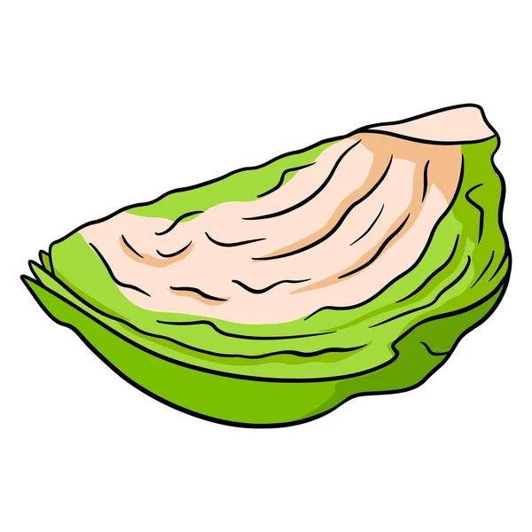 Fresh Cabbage Sliced Cabbage Roach Ingredient Kitchen Cartoon Style Vector — Stock Vector