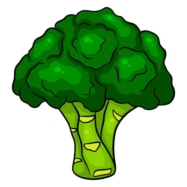 Fresh Broccoli Bright Illustration Green Brocooli Ingredient Kitchen Cartoon Style — Stock Vector
