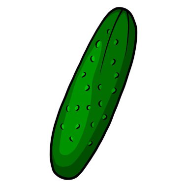 Taze salatalık. Parlak yeşil salatalık. Mutfak malzemesi. Çizgi film tarzı. Tasarım ve dekorasyon için vektör illüstrasyonu.