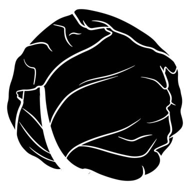 Taze lahana. Büyük bir lahana salıncağı. Mutfak malzemesi. Siluet. Tasarım ve dekorasyon için vektör illüstrasyonu.