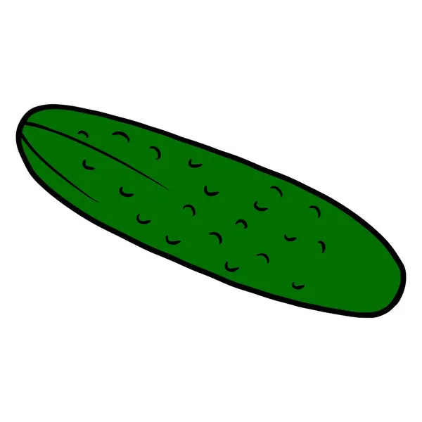 Свіжий Огірок Яскраво Зелений Огірок Складова Кухні Стиль Мультфільму Векторні — стоковий вектор