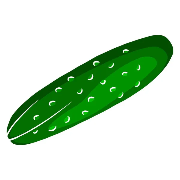 Concombre Frais Concombre Vert Vif Ingrédient Pour Cuisine Cartoon Style — Image vectorielle