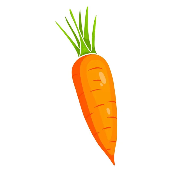 Carota Fresca Carota Arancione Brillante Ingrediente Cucina Stile Cartone Animato — Vettoriale Stock