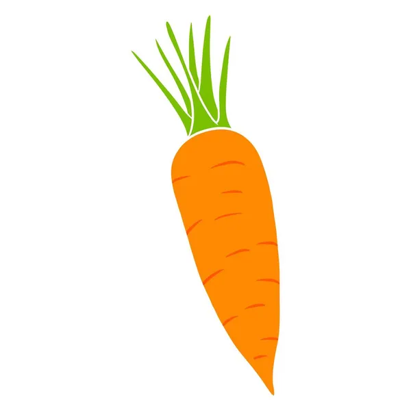 Fresh Carrot Bright Orange Carrot Ingredient Kitchen Cartoon Style Vector — Stock Vector