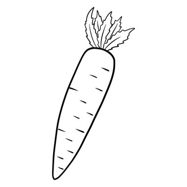 Taze havuç. Mutfak malzemesi. Çizgi tarzı. Tasarım ve dekorasyon için vektör illüstrasyonu.
