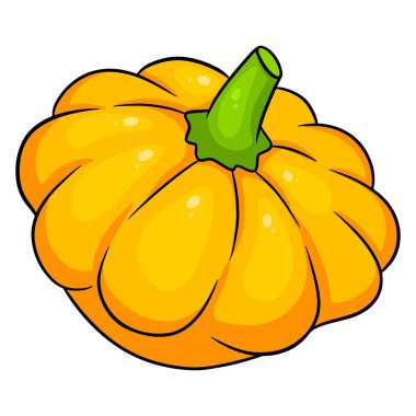 Taze kabak. Parlak sebze. Mutfak malzemesi. Çizgi film tarzı. Tasarım ve dekorasyon için vektör illüstrasyonu.