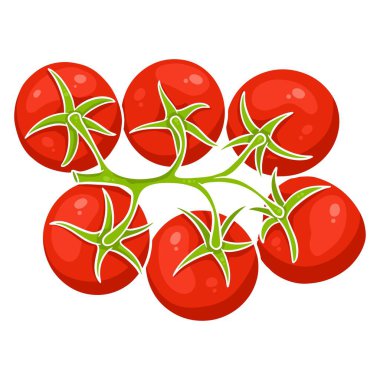 Taze domates. Dal üzerinde parlak domatesler. Mutfak için sebze malzemesi. Çizgi film tarzı. Tasarım ve dekorasyon için vektör illüstrasyonu.