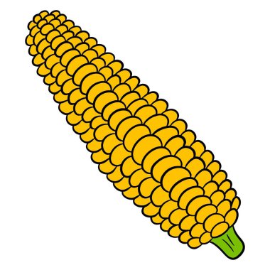 Taze mısır. Yapraklardan soyulmuş mısır. Mutfak için sebze malzemesi. Çizgi film tarzı. Tasarım ve dekorasyon için vektör illüstrasyonu.