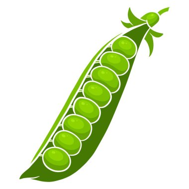 Taze bezelyeler. Parlak yeşil bezelyeler. Mutfak için sebze malzemesi. Çizgi film tarzı. Tasarım ve dekorasyon için vektör illüstrasyonu.