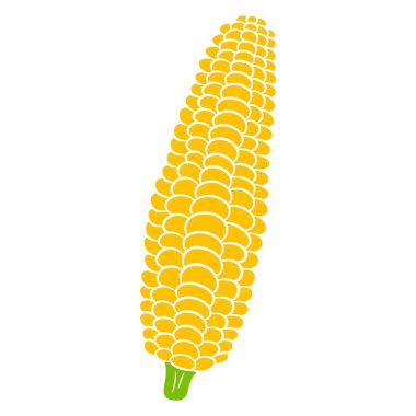 Taze mısır. Yapraklardan soyulmuş mısır. Mutfak için sebze malzemesi. Çizgi film tarzı. Tasarım ve dekorasyon için vektör illüstrasyonu.