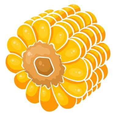 Taze mısır. Mutfak için sebze malzemesi. Çizgi film tarzı. Tasarım ve dekorasyon için vektör illüstrasyonu.