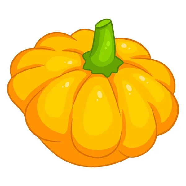 Calabaza Fresca Verduras Brillantes Ingrediente Para Cocina Estilo Dibujos Animados — Vector de stock