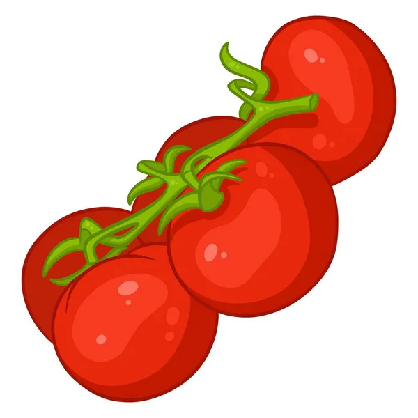 Tomate Fresco Tomates Brillantes Una Ramita Ingrediente Vegetal Para Cocina — Vector de stock