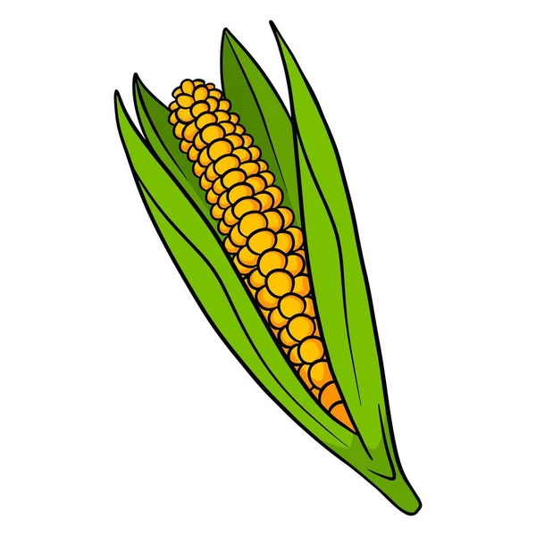 Friss Kukorica Kukorica Levelekben Növényi Összetevő Konyhába Rajzfilm Stílus Vektorillusztráció — Stock Vector