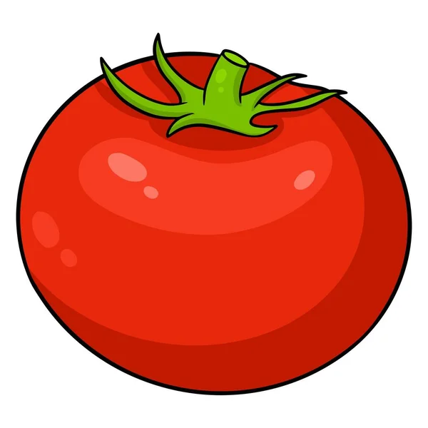 Tomate Fraîche Tomate Lumineuse Aux Feuilles Ingrédient Végétal Pour Cuisine — Image vectorielle