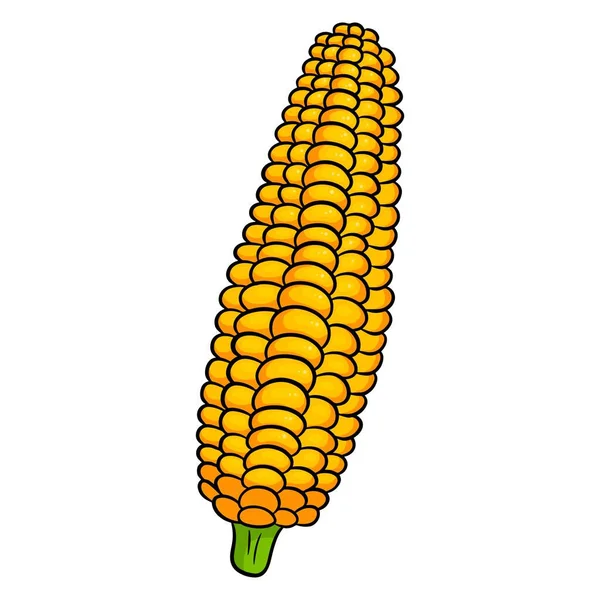 Frisches Mais Mais Aus Blättern Geschält Gemüsezutat Für Die Küche — Stockvektor