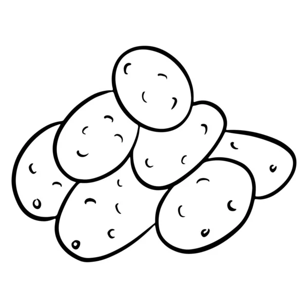 Frische Kartoffeln Mehrere Kartoffelpflanzen Gemüsezutat Für Die Küche Linienstil Vektor — Stockvektor