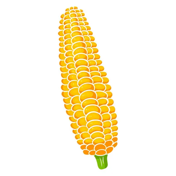 Fresh Corn Corn Peeled Leaves Vegetable Ingredient Kitchen Cartoon Style — Stock Vector