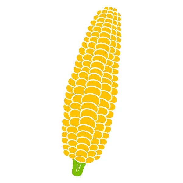 Frisches Mais Mais Aus Blättern Geschält Gemüsezutat Für Die Küche — Stockvektor