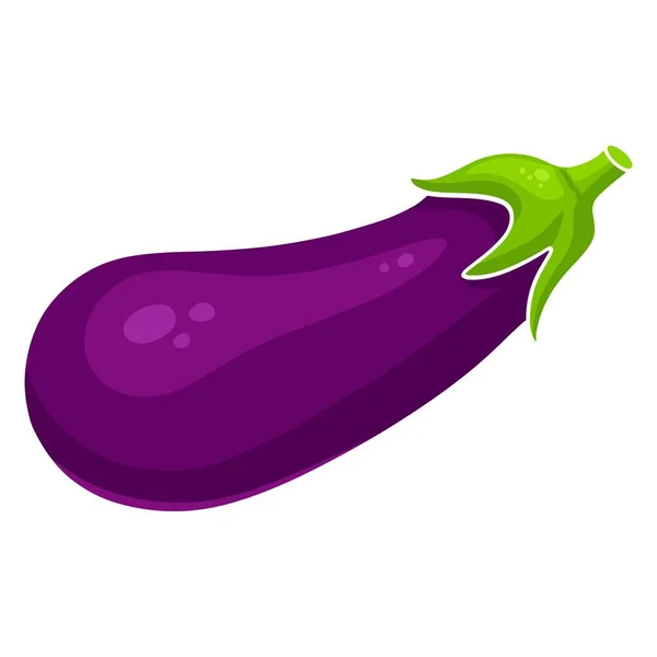 Fresh Eggplant Bright Eggplant Vegetable Ingredient Kitchen Cartoon Style Vector — Stock Vector