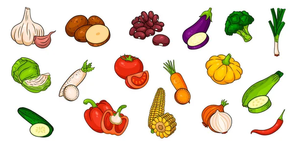 Vektor grönsaker ikoner i tecknad stil. Stort set. — Stock vektor
