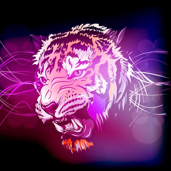 Tigre en colère — Photo