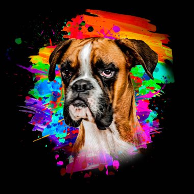 Arkaplanda yaratıcı renkli soyut unsurlara sahip boksör köpek kafası
