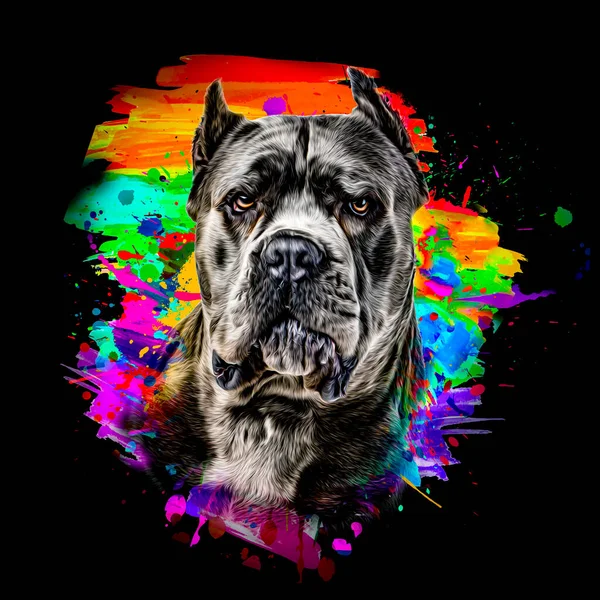 Porträt Einer Bulldogge Farbe Kunst — Stockfoto