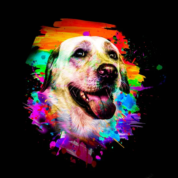 暗い背景に創造的なカラフルな抽象的な要素を持つ犬の頭 — ストック写真