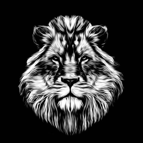 Black and white artistic lion muzzle on dark background