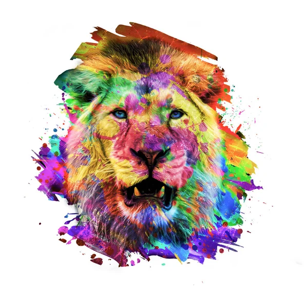 Tête Lion Dans Des Éclaboussures Peinture Colorée Sur Fond Blanc — Photo