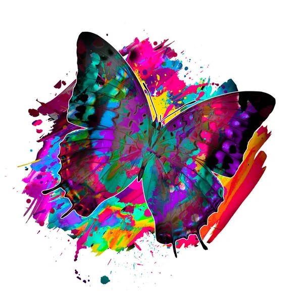 Grunge Hintergrund Mit Graffiti Und Gemaltem Schmetterling — Stockfoto