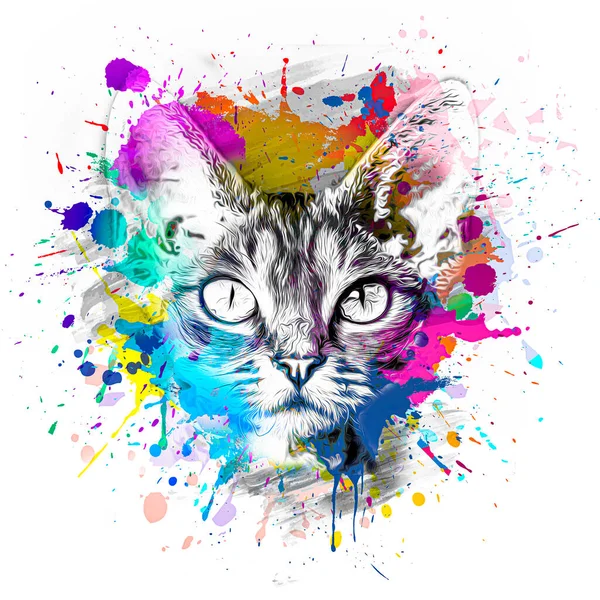 Kot Głowa Ilustracja Kolorowy Białym Tle — Zdjęcie stockowe