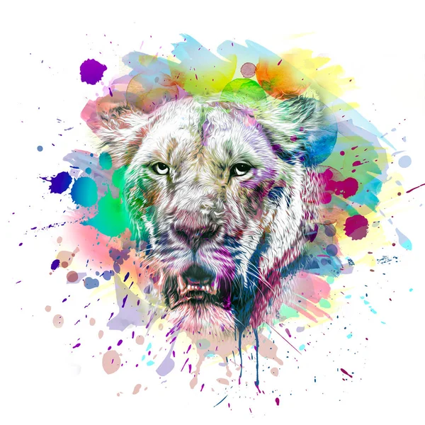 Leopard Head Creative Colorful Abstract Elements — Stock Photo, Image