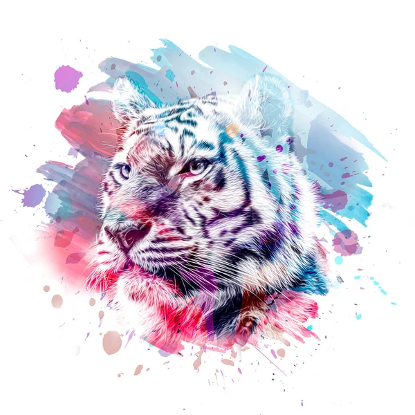 Tiger Head Creative Abstract Element White Background — Stock Photo, Image
