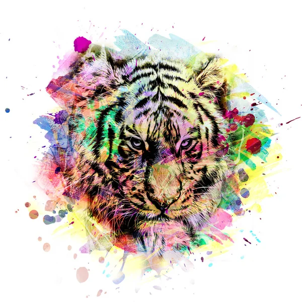 Bright Abstract Colorful Background Tiger Paint Splashes — Stock Photo, Image