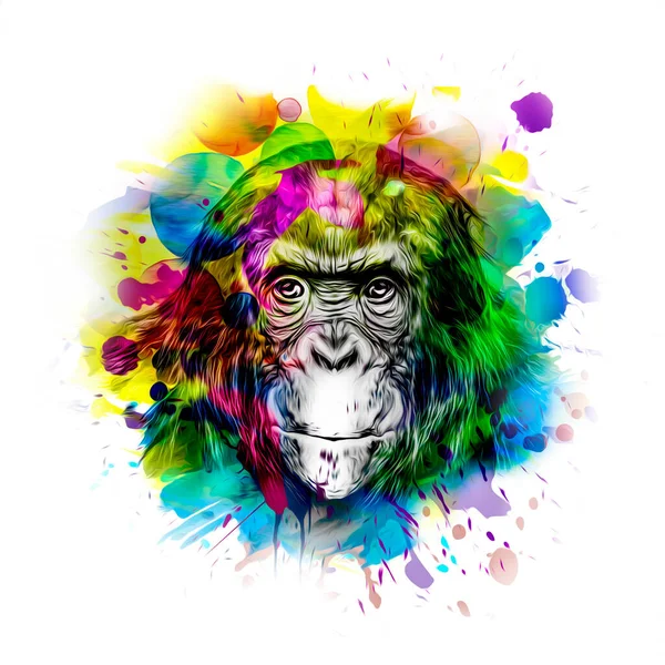 Bunte Künstlerische Affenkopf Auf Hintergrund Mit Bunten Kreativen Elementen Farbkunst — Stockfoto