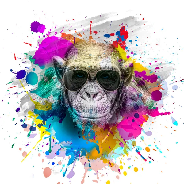 Kolorowa Głowa Małpy Artystycznej Okularach Tle Kolorowymi Elementami Twórczymi — Zdjęcie stockowe