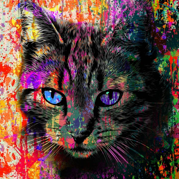 Abstrato Colorido Gato Focinho Ilustração Conceito Design Gráfico — Fotografia de Stock