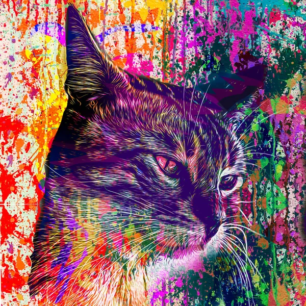 Astratto Colorato Gatto Muso Illustrazione Concetto Progettazione Grafica — Foto Stock