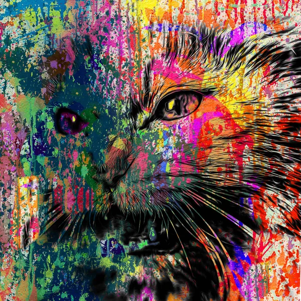 Abstract Colorful Cat Muzzle Illustration Graphic Design Concept — Stock Photo, Image