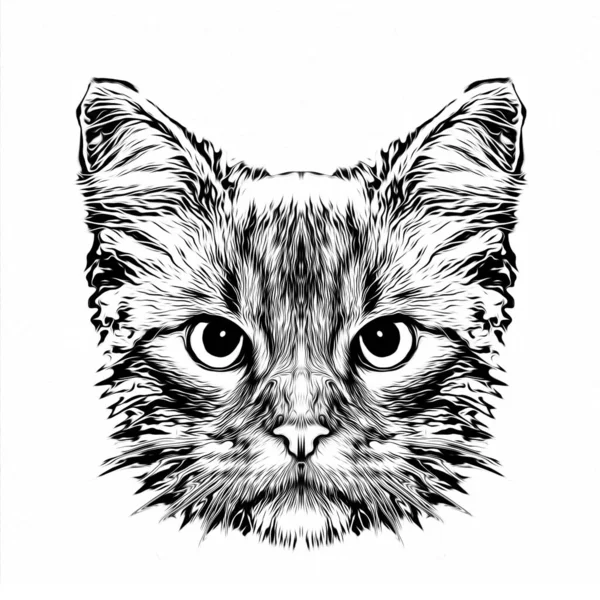 Abstracto Gato Hocico Ilustración Diseño Gráfico Concepto Arte — Foto de Stock