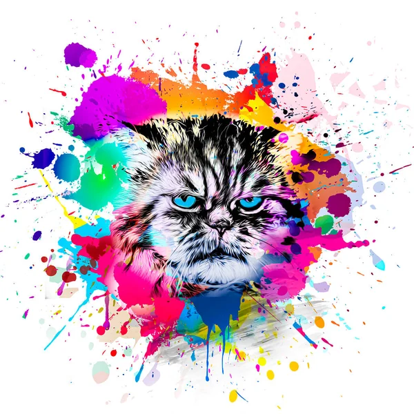 Soyut Renkli Kedi Ağızlığı Çizimi Grafik Tasarım Konsepti Renk Sanatı — Stok fotoğraf