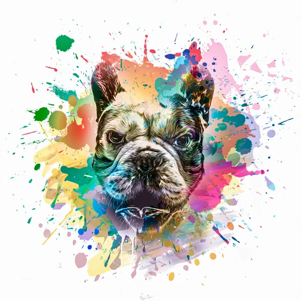 Abstract Colored Dog Muzzle Isolated Colorful Background — Stock Photo, Image