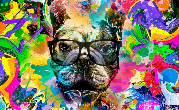 Намордник Собаки Абстрактного Цвета Изолирован Красочном Фоне Очками — стоковое фото