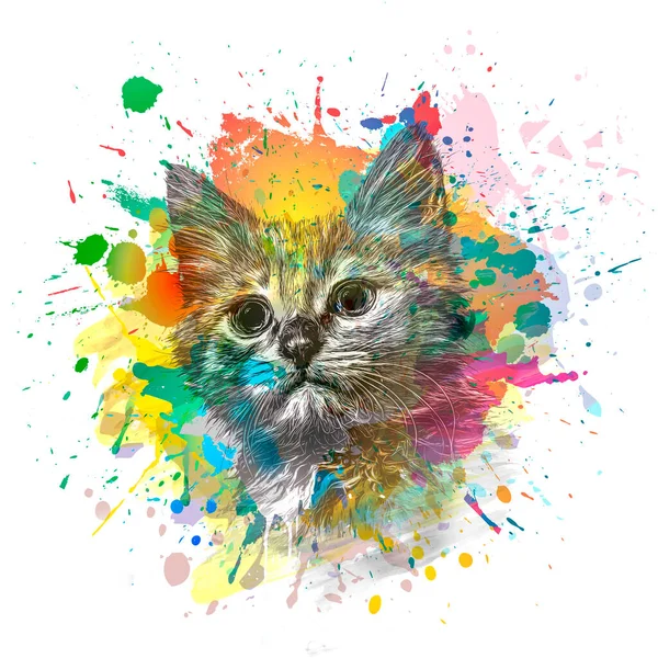 Abstracto Colorido Gato Hocico Ilustración Diseño Gráfico Concepto Color Arte —  Fotos de Stock