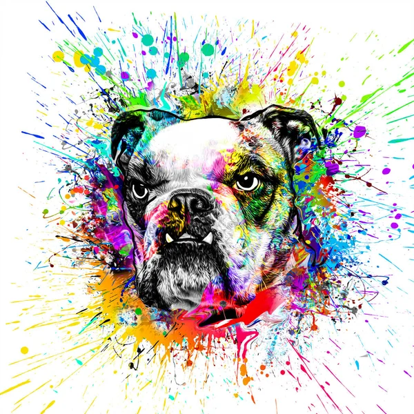 Beyaz Arka Planda Parlak Boya Lekeleri Olan Renkli Sanatçı Köpek — Stok fotoğraf