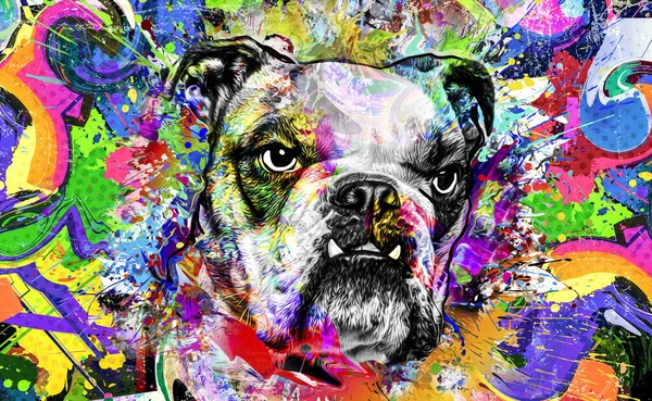 Colorful Artistic Dog Muzzle Bright Paint Splatters White Background — Stock Photo, Image